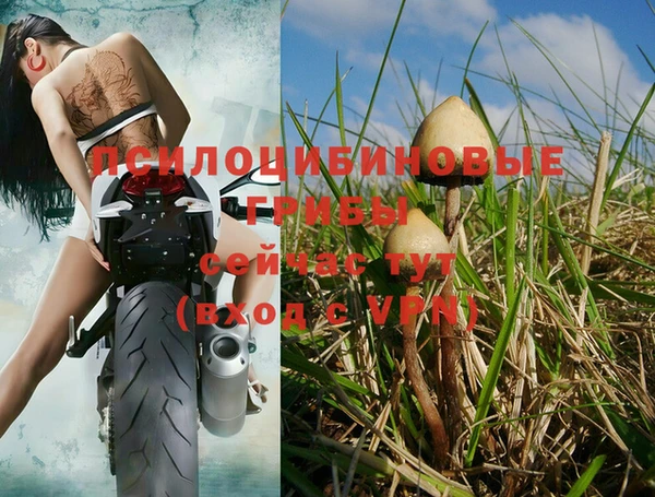 мяу мяу мука Богданович