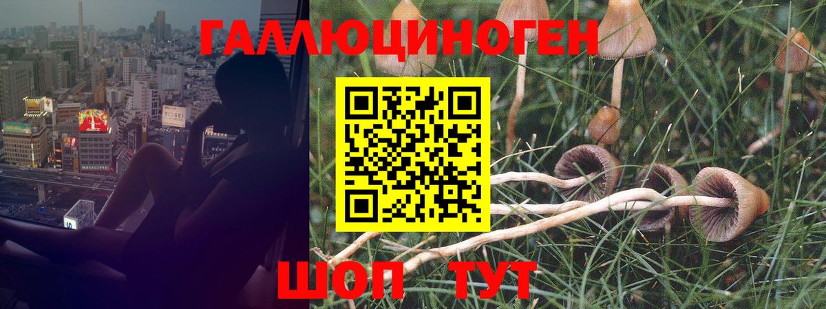Галлюциногенные грибы мицелий Улан-Удэ