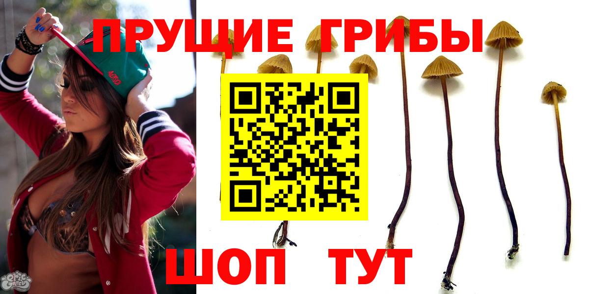 Улан-Удэ  Галлюциногенные грибы мухоморы  Псилоцибиновые грибы Psilocybine cubensis  Вход с VPN 